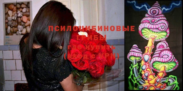 гидропоника Верхний Тагил