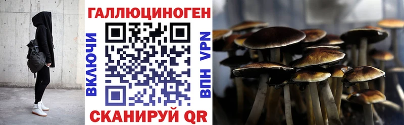что такое   Нижний Новгород  Галлюциногенные грибы мицелий 